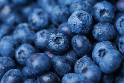 Baked blueberries may have altered polyphenol content warn researchers