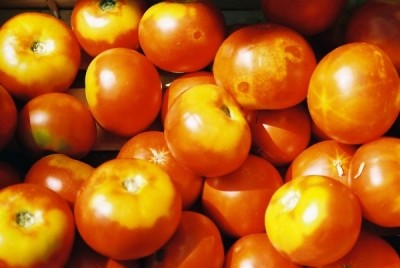 Tomato peel extracted with methanol showed the highest antioxidant activity
