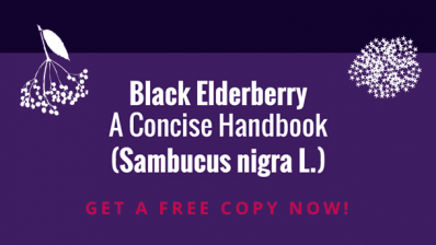 Black Elderberry (Sambucus nigra L.): A Concise Handbook