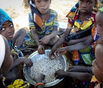 Much work to do in battle against global under nutrition: Report