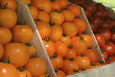 Tangerine tomatoes beat red variety for lycopene bioavailability