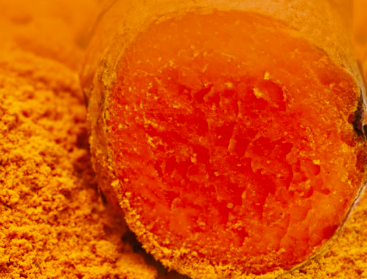Deal cements supply relationship for more bioavailable curcumin, quercitin out of Japan