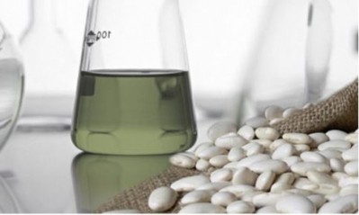 White kidney bean extract fails to win blood sugar-weight loss claim