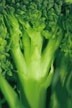 Cancer fighting broccoli extract deal signed
