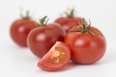The John Innes Centre team have developed tomatoes that contain industrial scale levels of resveratrol and genistein. (Photo Credit: John Innes Centre)