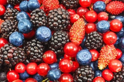 Asiros has big berry processing ambitions with its new facility. ©iStock 