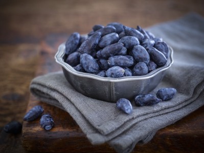 Haskap berries are also known as blue honeysuckle or honeyberries.  © Soloberry Ltd