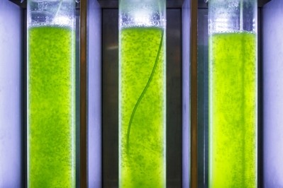 Picture: iStock/Toa55. EREN: A change in consumption habits linked to belief that algae are ‘healthy food’ might trigger higher demand in future