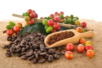 China firm ICS Biological Technology (Shanghai) is fermenting coffee beans with a human probiotic strain.  ©iStock/DeeNida