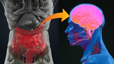 With more research being conducted on the gut-brain axis, studies have reported that the gut microbiota plays an important part in regulating brain function. ©Getty Images