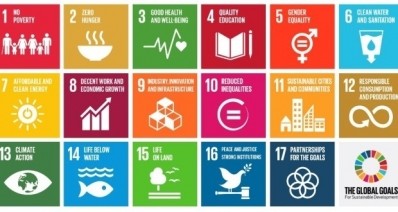 DSM believes there are five SDGs where it can play a major role.