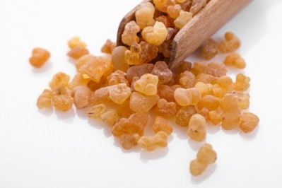 Boswellia extracts start as a gum-like resin exudate from a tree that grows in India. Getty Images.