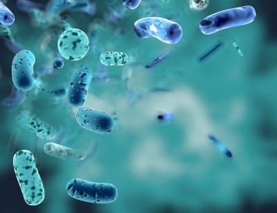 Novozymes and LinusBio explore probiotic protection against toxic metals
