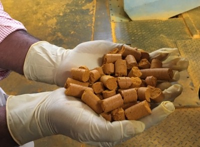 Turmeric root powder is processed into pellets that are fed into a continuous bed extractor at Sabinsa's Dobaspet facility near Bengaluru, India.  NutraIngredients-USA photo.