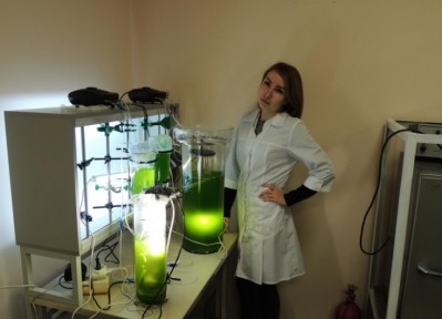 Researchers from Peter the Great St. Petersburg Polytechnic University (SPbPU) obtained microalgae biomass with a high content of carotenoid pigments. ©Peter the Great St.Petersburg Polytechnic University