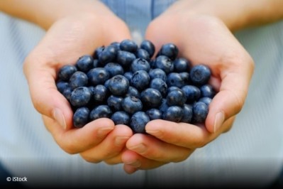 Milk protein may act as delivery vehicle for blueberry nutrients 