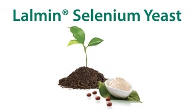 Organically Complexed and Bioavailable Selenium-Enriched Yeast