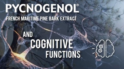 Pycnogenol® for Enhanced Cognitive Function at Any Age