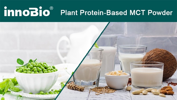 INNOBIO® Exhibits Its Newly Launched Plant Protein-Based MCT Powder