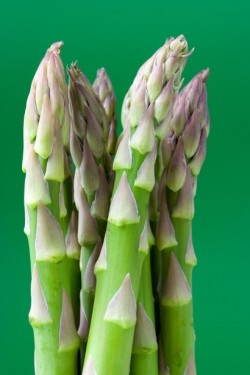 Asparagus extracts may ease hangover: Study