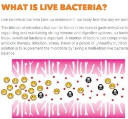 Amended probiotic messaging on the Bio-Kult website after the ASA ruling