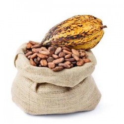 Cocoa products may offer fiber source for consumers