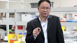 Associate Professor Dennis Chang