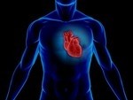 Taurine may provide heart health benefits: Study