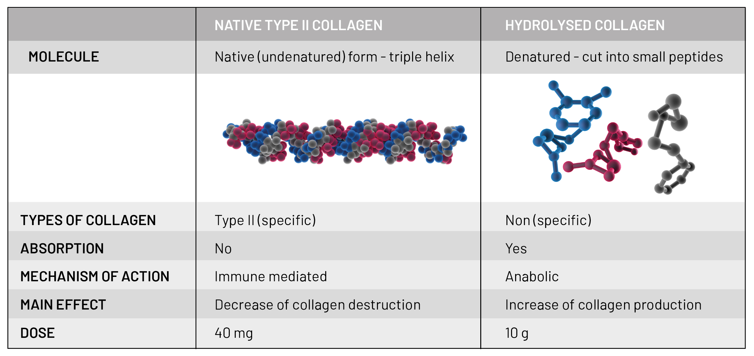 type 2 collagen research