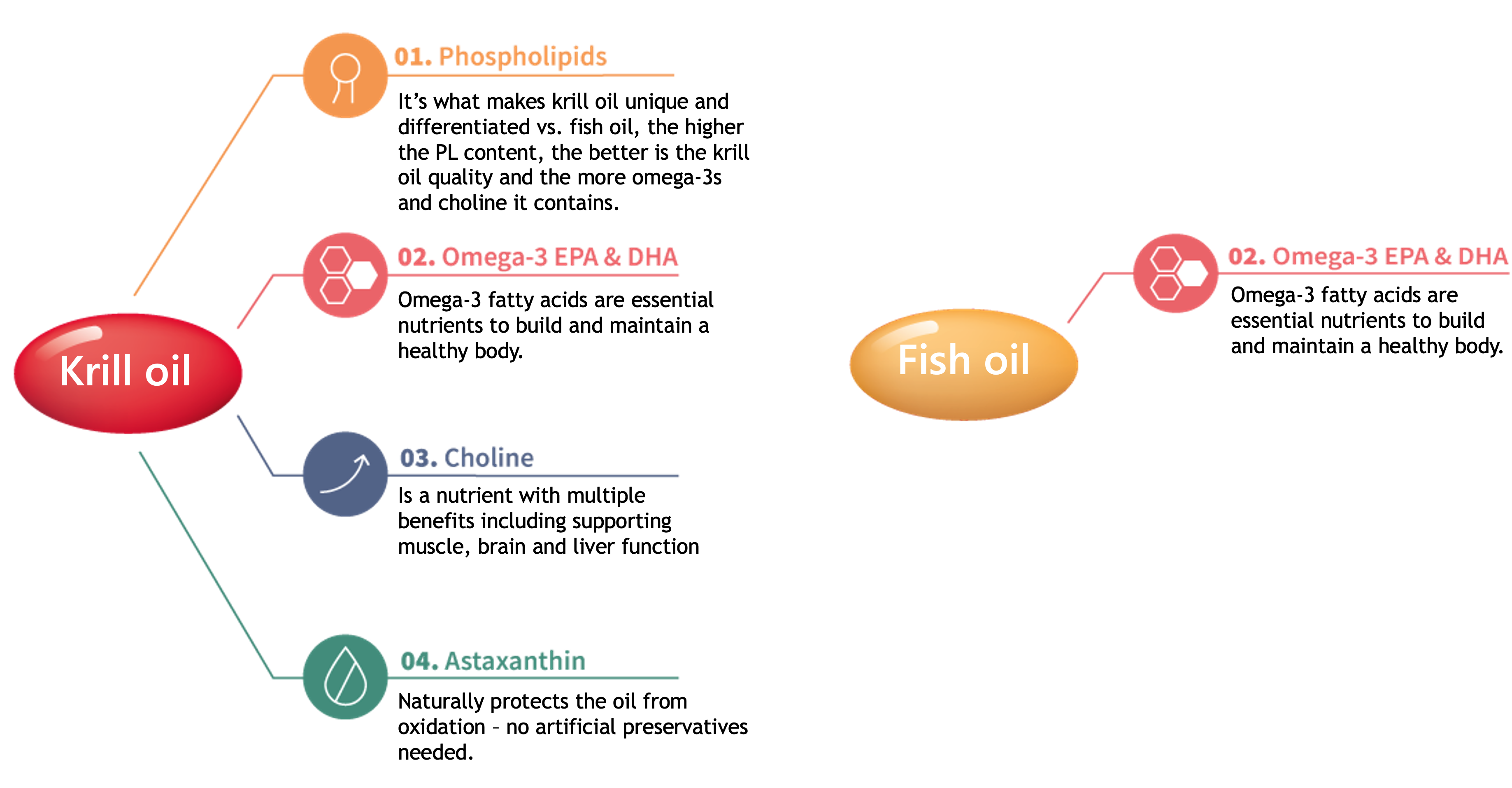 Large new study validates krill heart health benefits