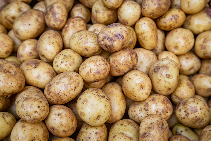 Study: Potato protein a winner for women