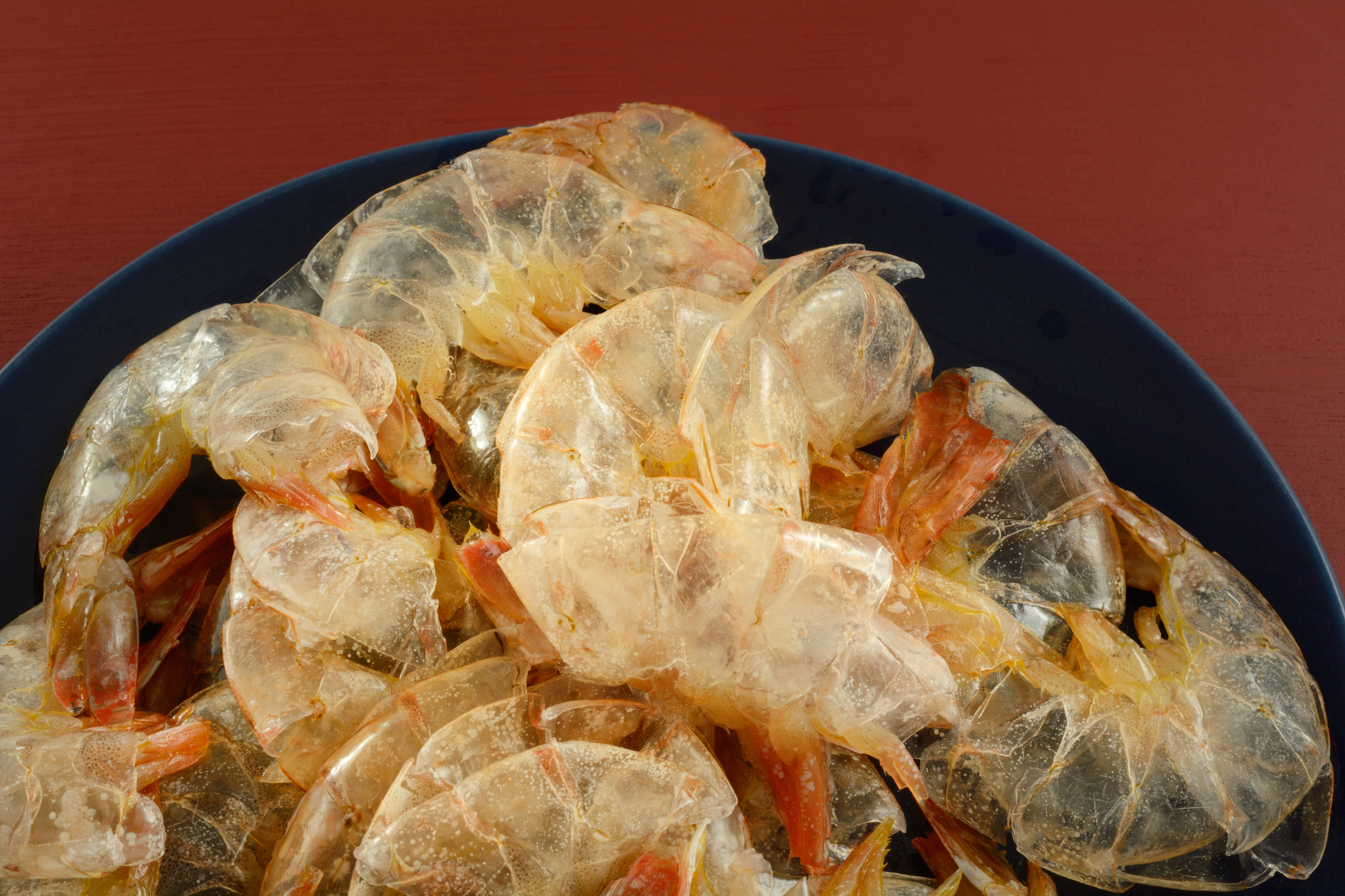 Researchers recycle shrimp waste into supplements
