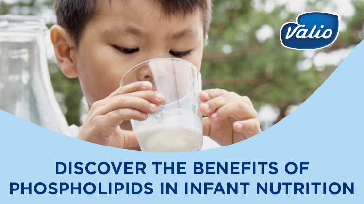 Milk phospholipids in early childhood development