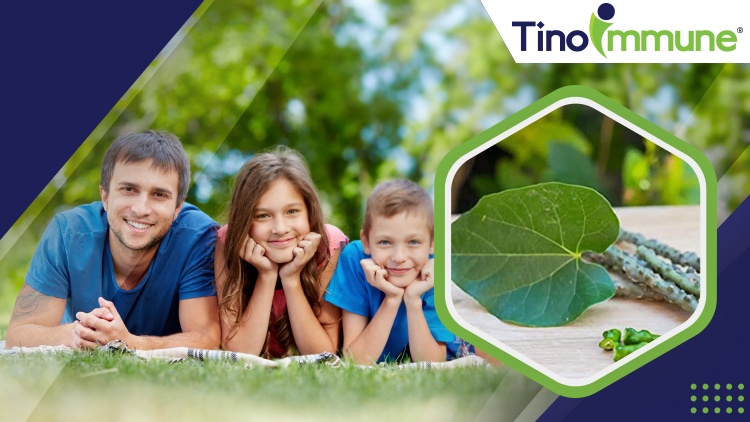 TinoImmune® - A Botanic Immunity Booster